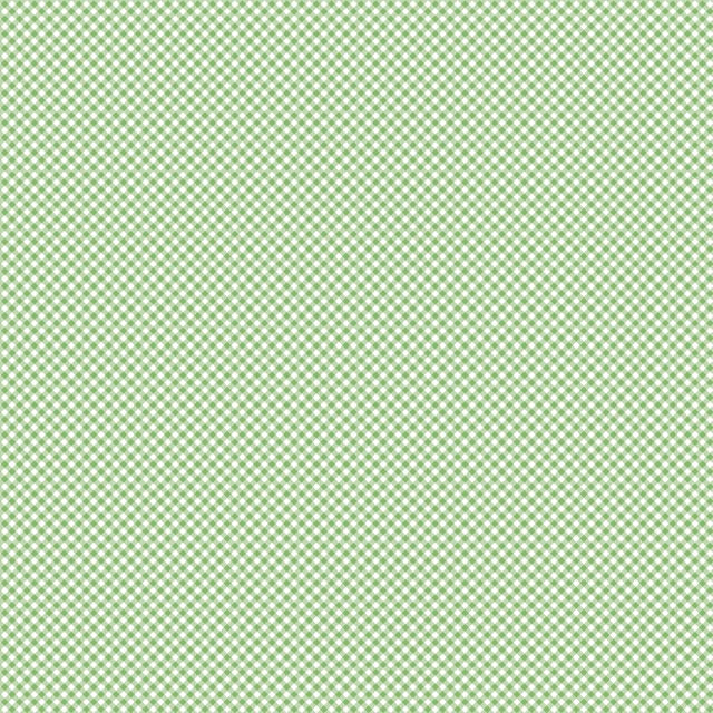 Seasonal Basics in Gingham Green by Riley Blake Designs