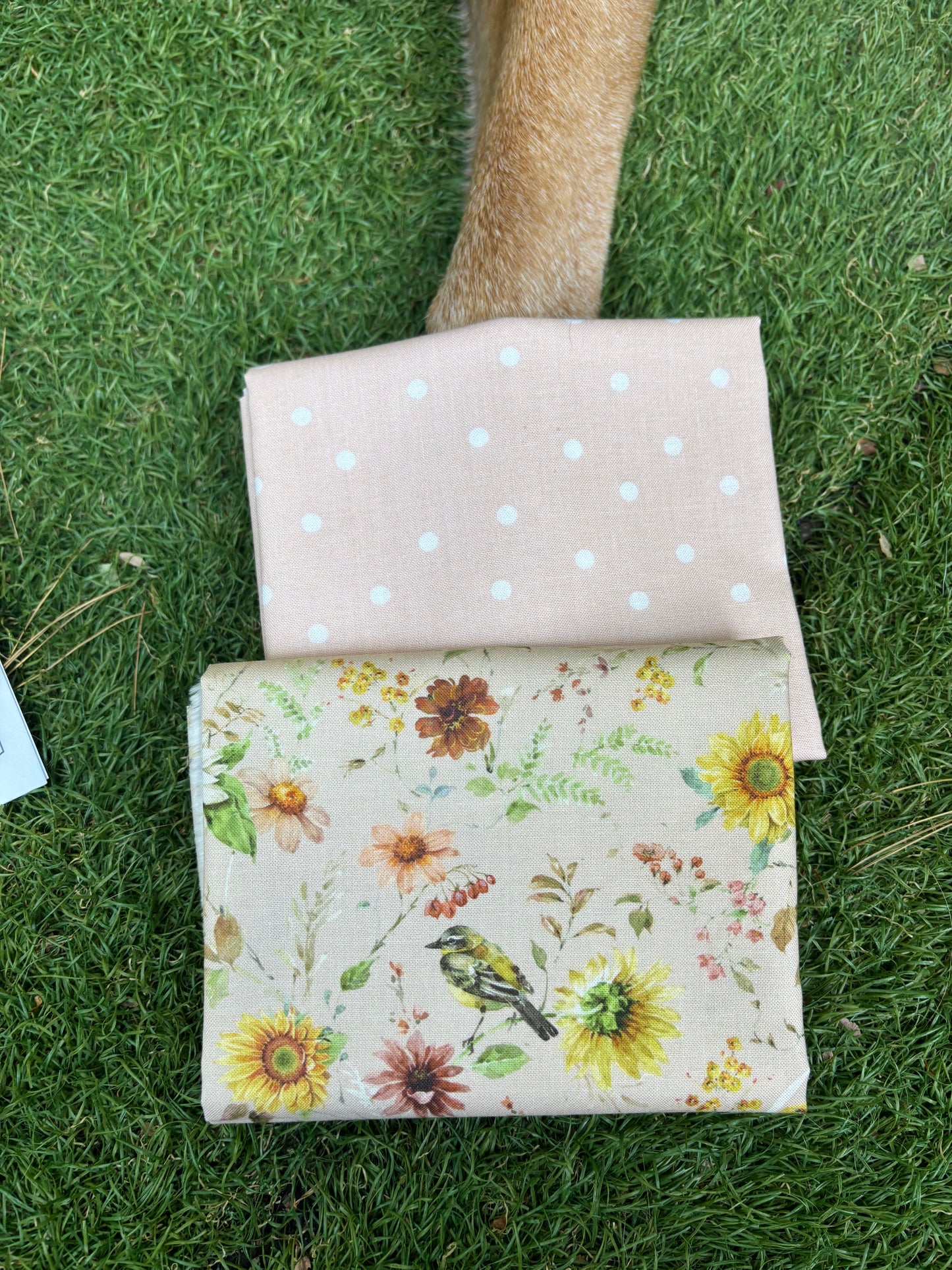 Hello Pouches Blush Kit