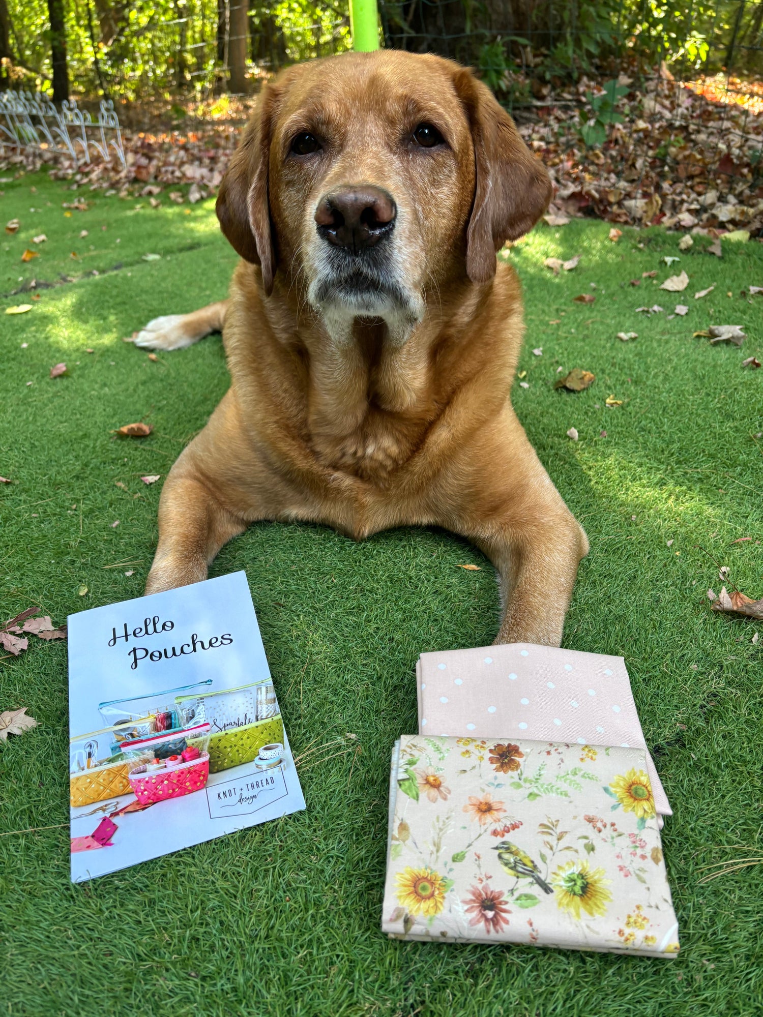 Ready to Quilt Kits!