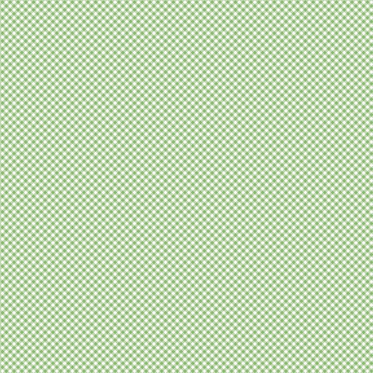 Seasonal Basics in Gingham Green by Riley Blake Designs