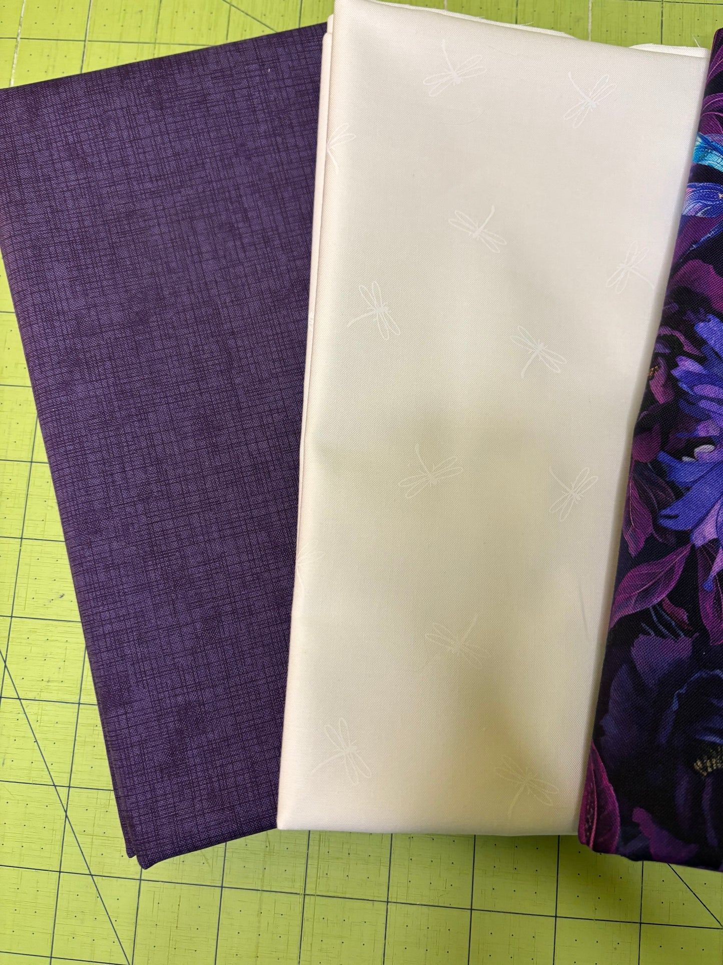 Dragonfly 3 Yard Quilt Kit
