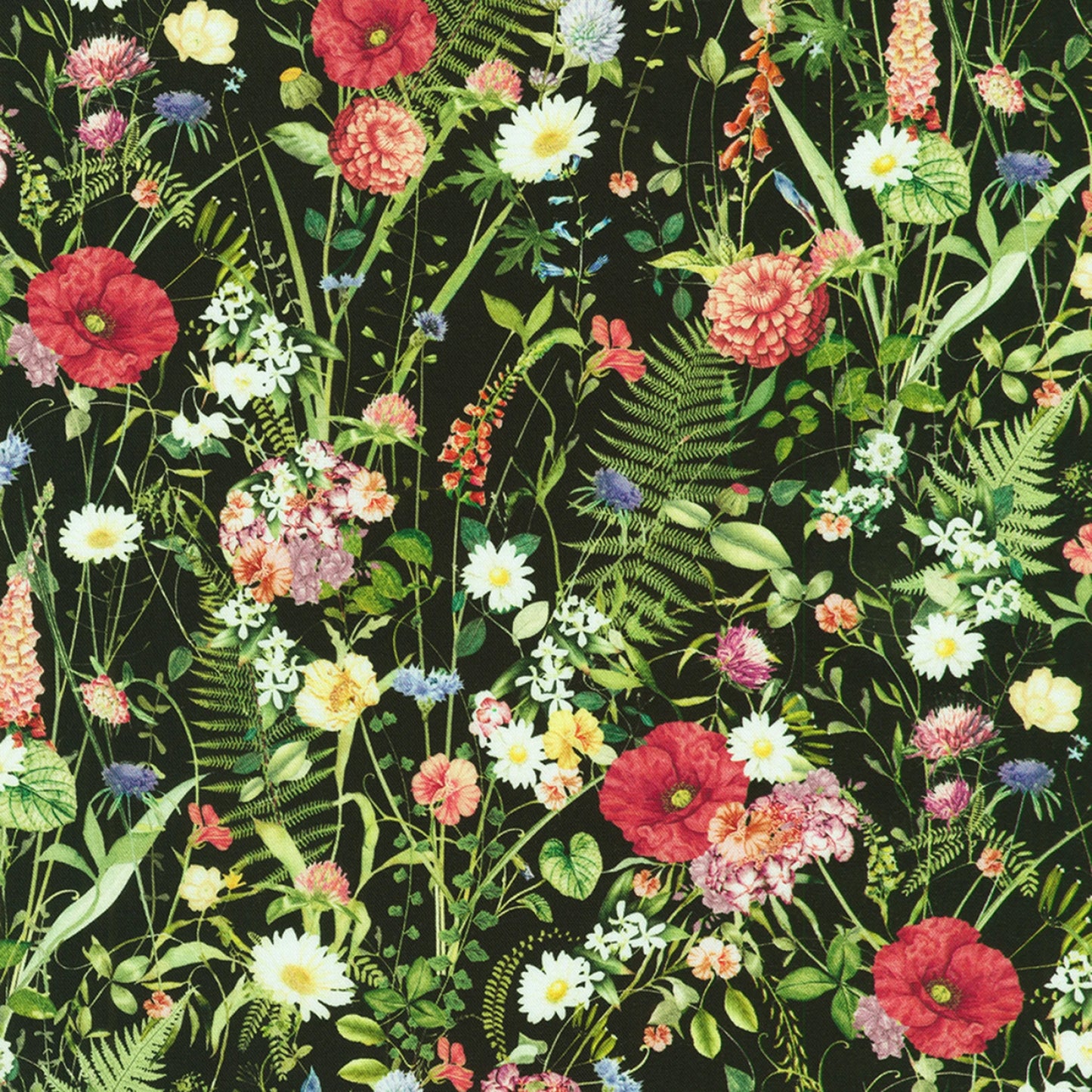 Black Floral Field by Robert Kaufman