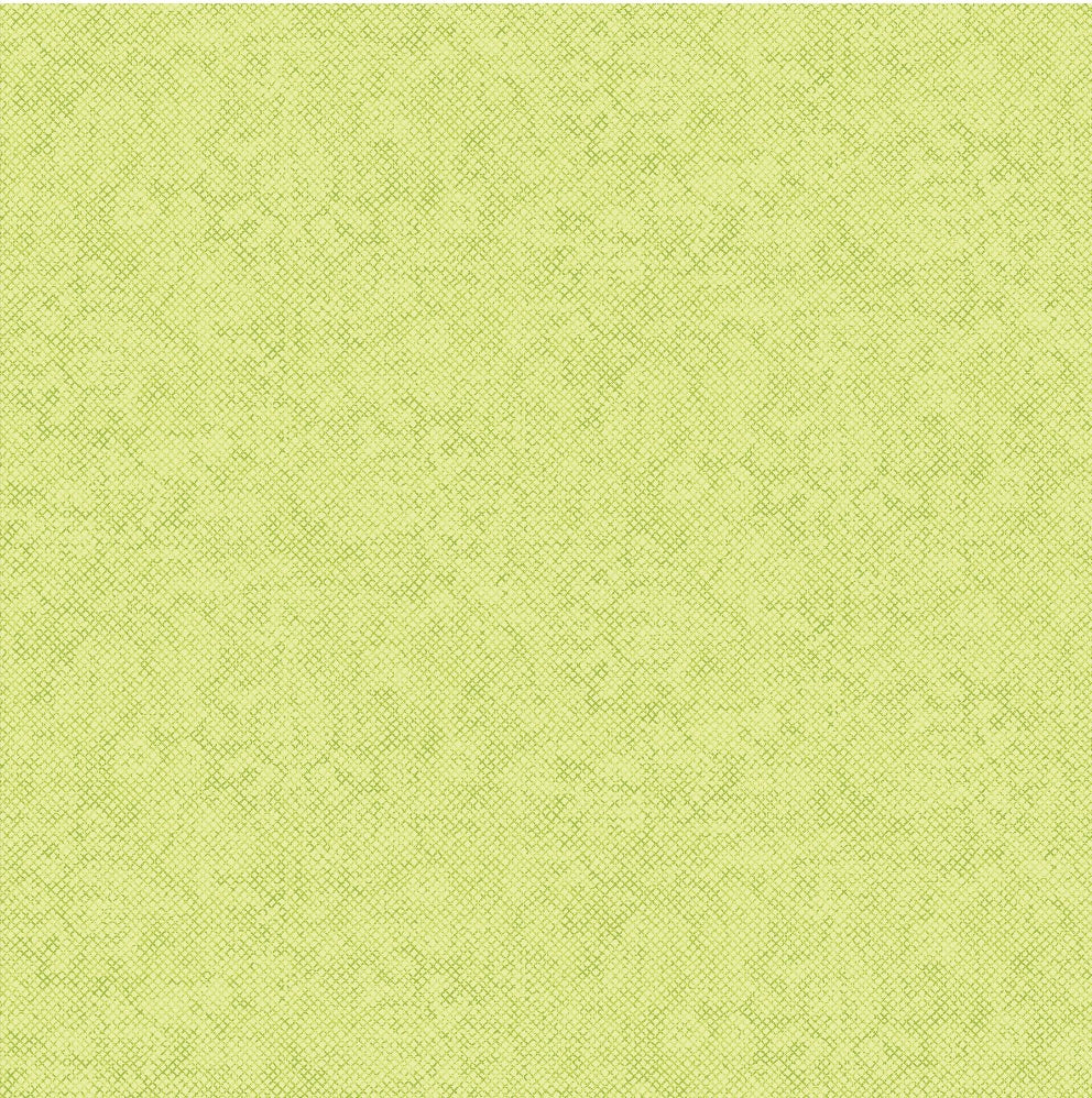 Whisper Weave Too in Pistachio by Benartex